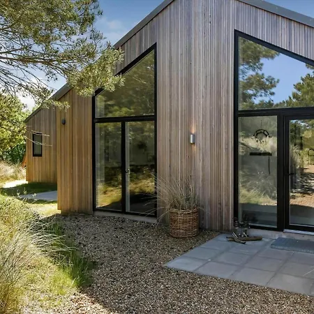 Bv234-blavand-pouls-bjerge-14 *